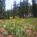 Lower Parika Lake